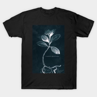 Cyanotype - Cephaelis Ipecacuanha - C T-Shirt